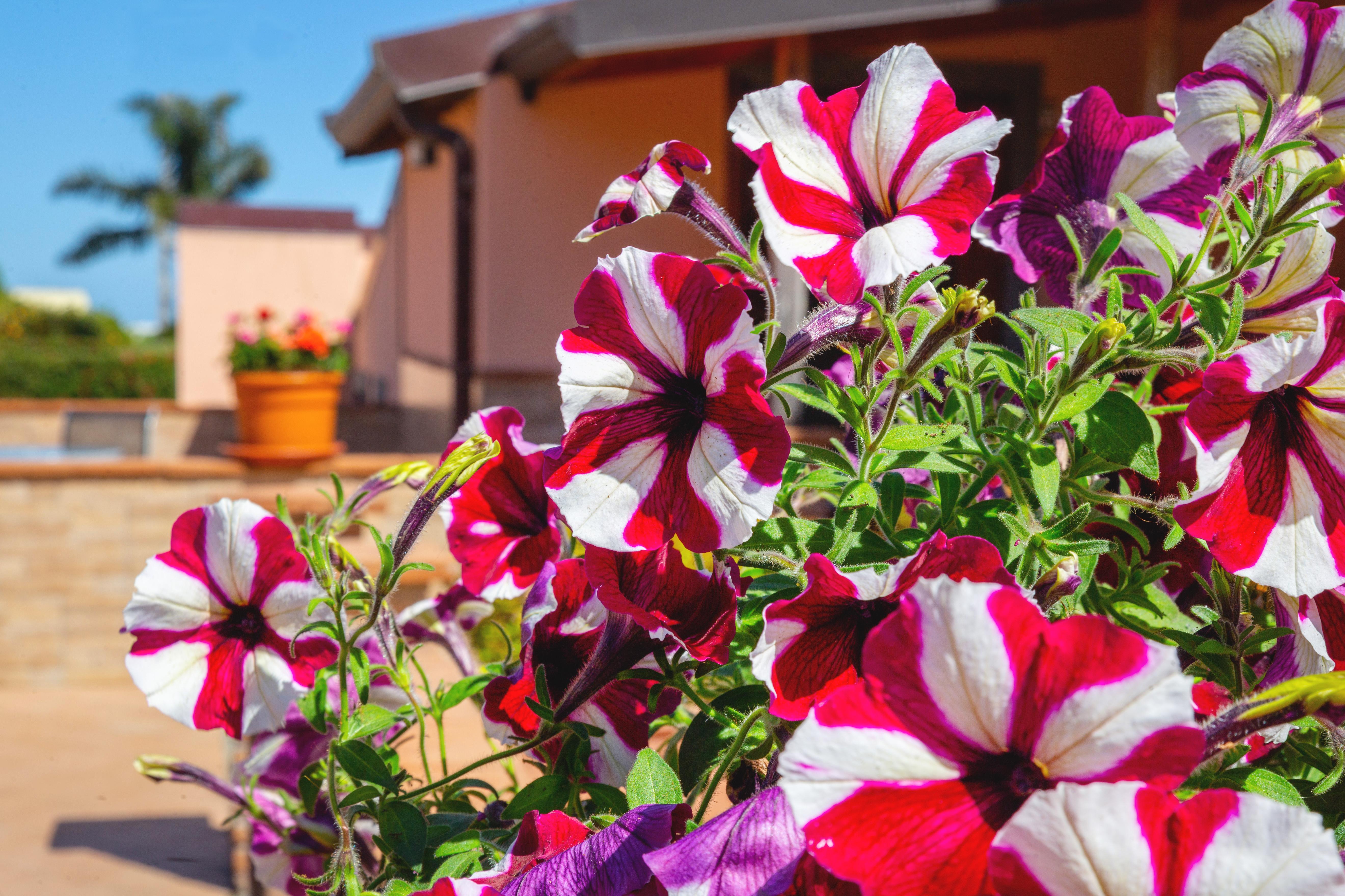 La Terra Dei Sogni Country Hotel Fiumefreddo di Sicilia Εξωτερικό φωτογραφία