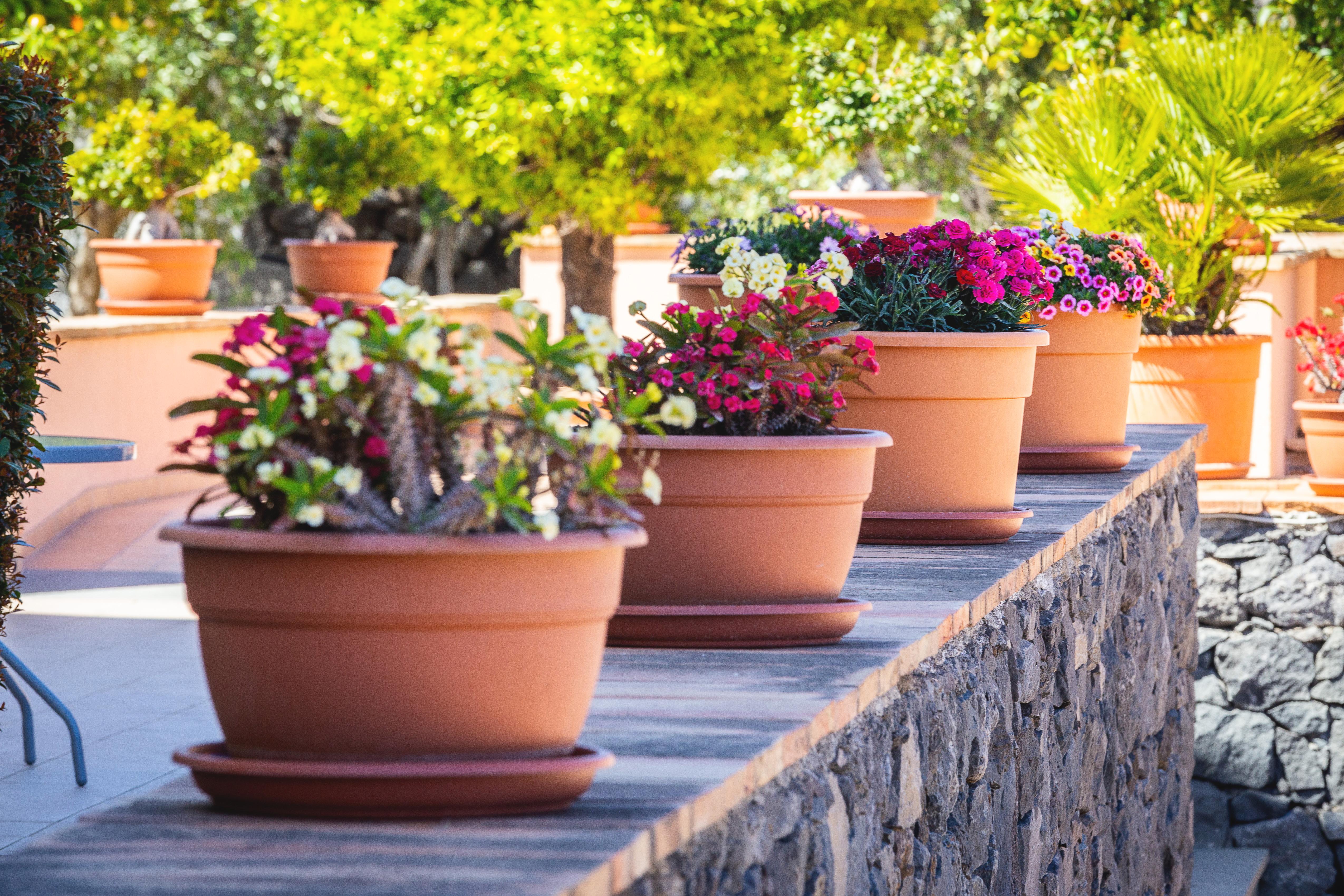 La Terra Dei Sogni Country Hotel Fiumefreddo di Sicilia Εξωτερικό φωτογραφία