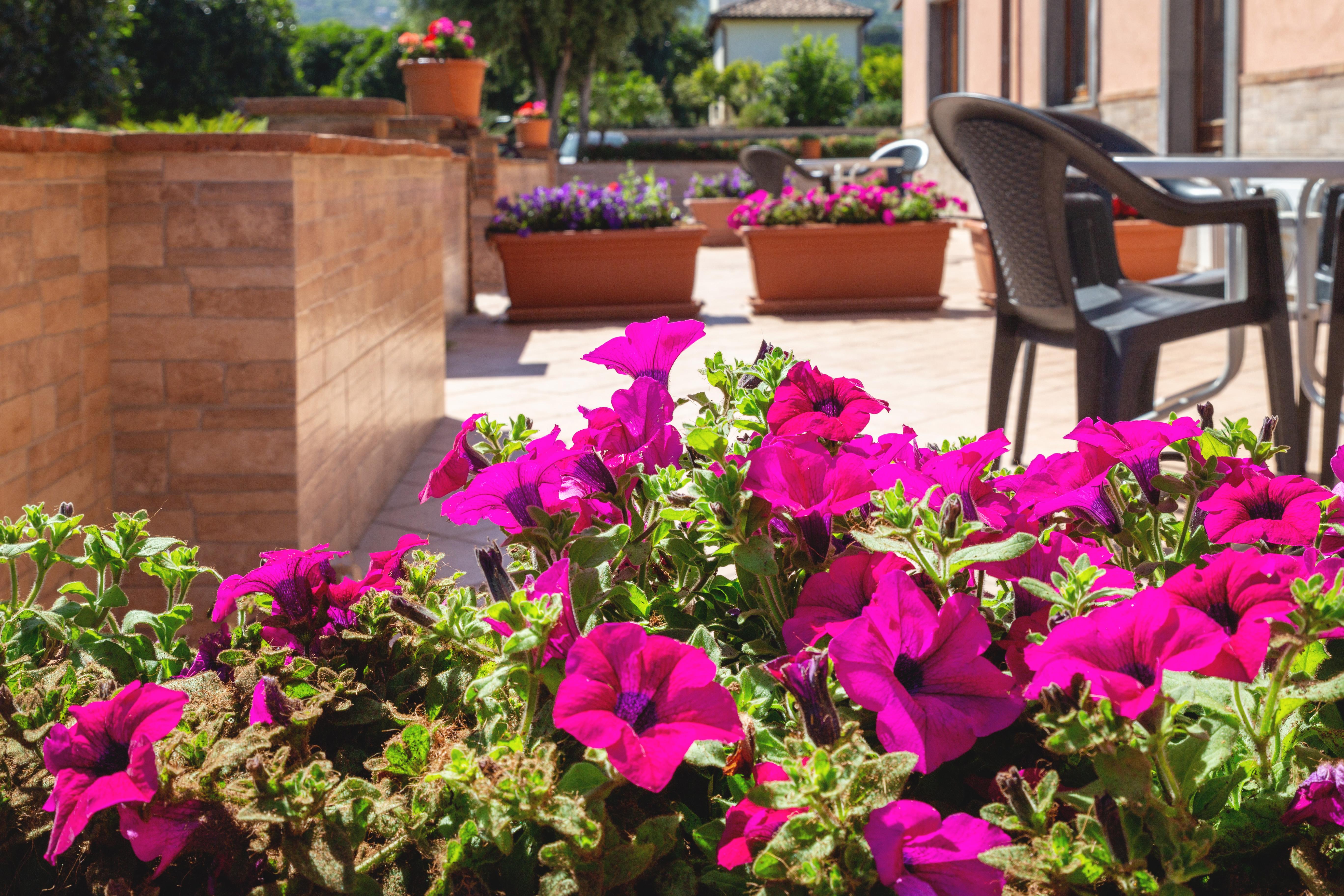 La Terra Dei Sogni Country Hotel Fiumefreddo di Sicilia Εξωτερικό φωτογραφία