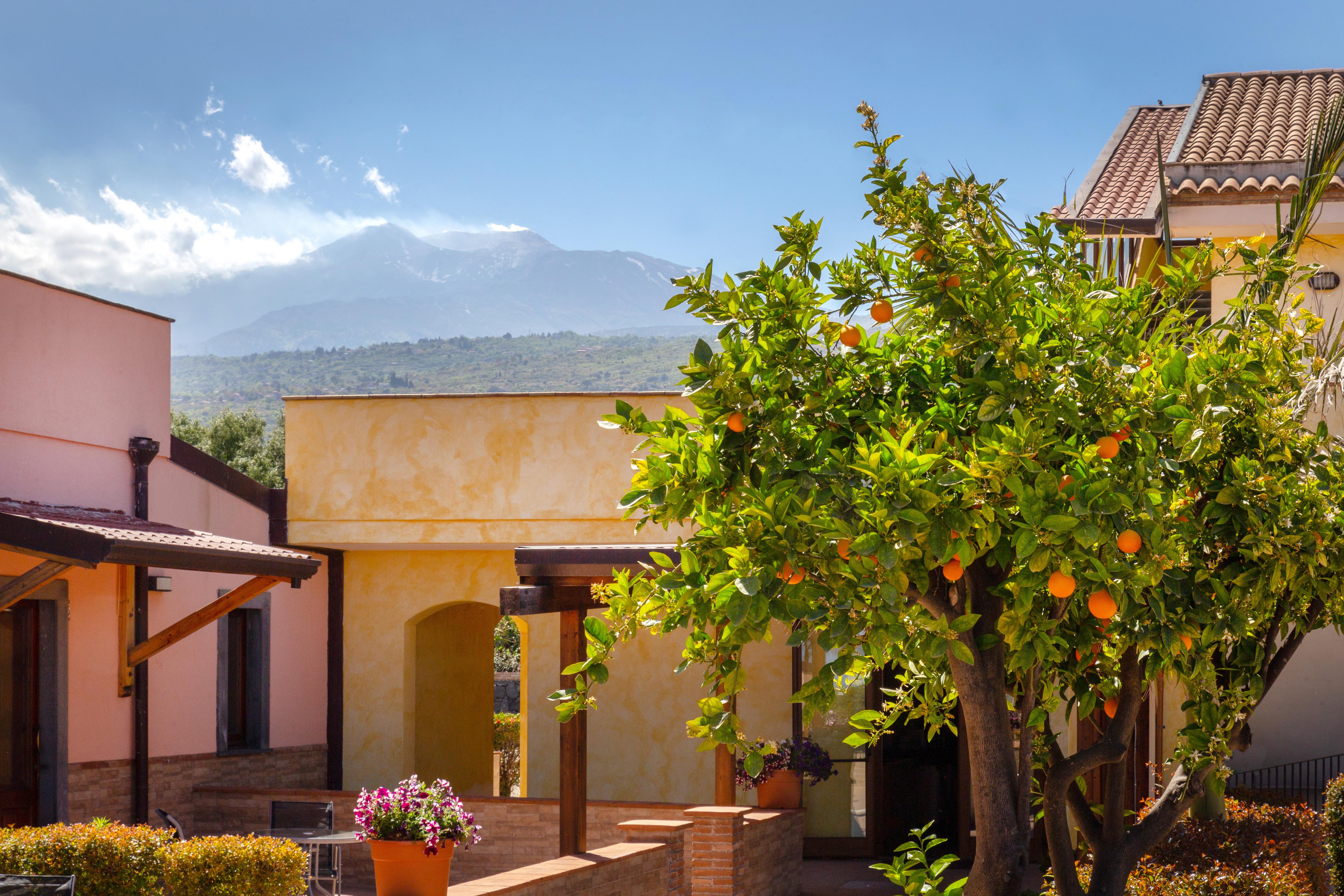 La Terra Dei Sogni Country Hotel Fiumefreddo di Sicilia Εξωτερικό φωτογραφία